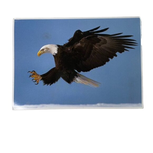 Vintage Postcard 1989 North American Wildlife Bald Eagle Flying Mark Miller u - Picture 1 of 2